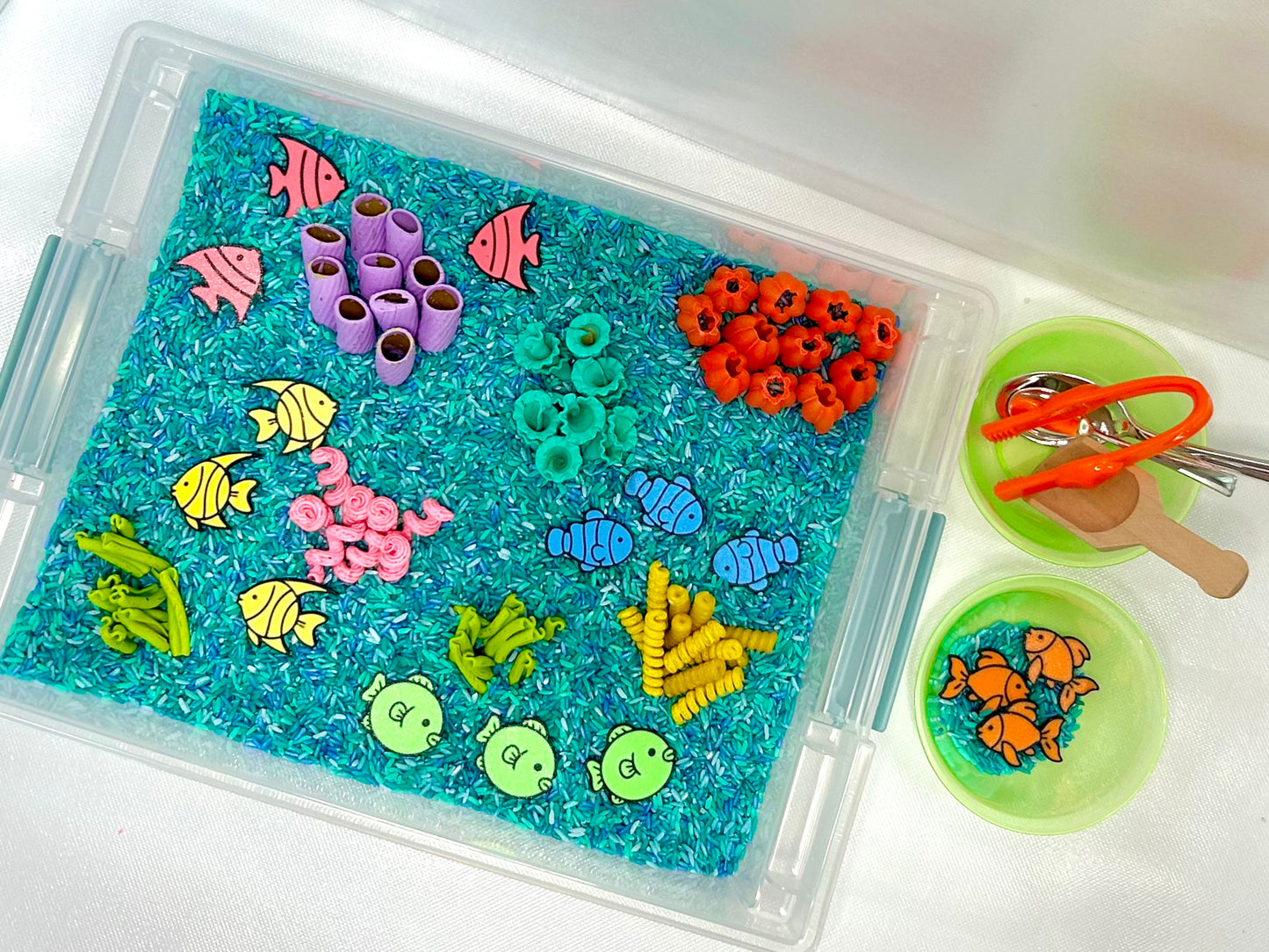 coral reef